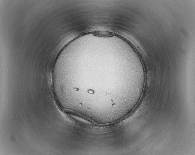 X0000110911241200907091430