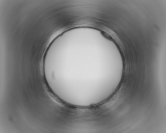 X0000110911242200907091430