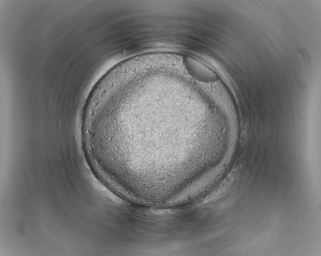 X0000110911243200907091430