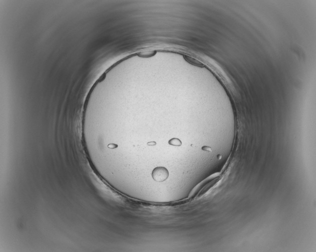 X0000110911244200907091430