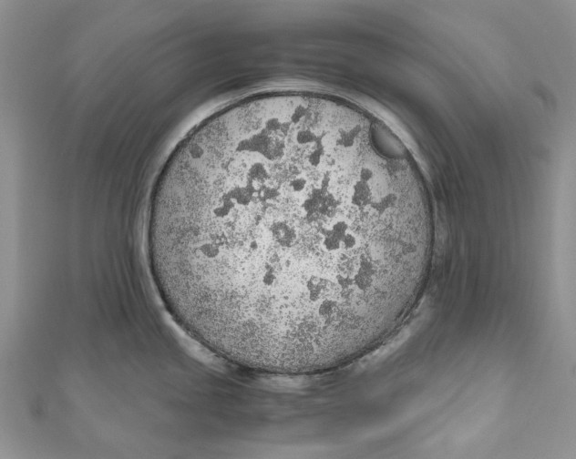 X0000110911245200907091430