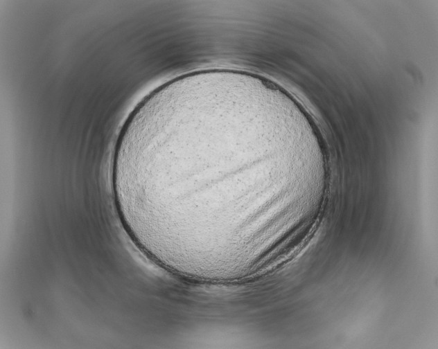 X0000110911246200907091430