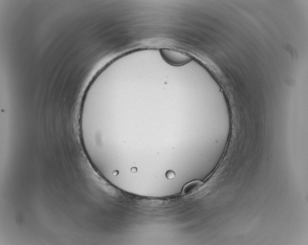 X0000110911248200907091430