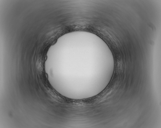 X0000110911250200907091429