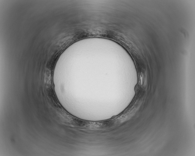 X0000110911251200907091429