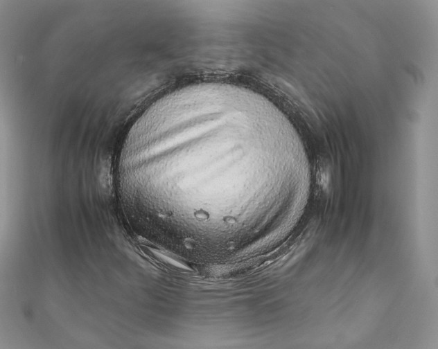 X0000110911252200907091429