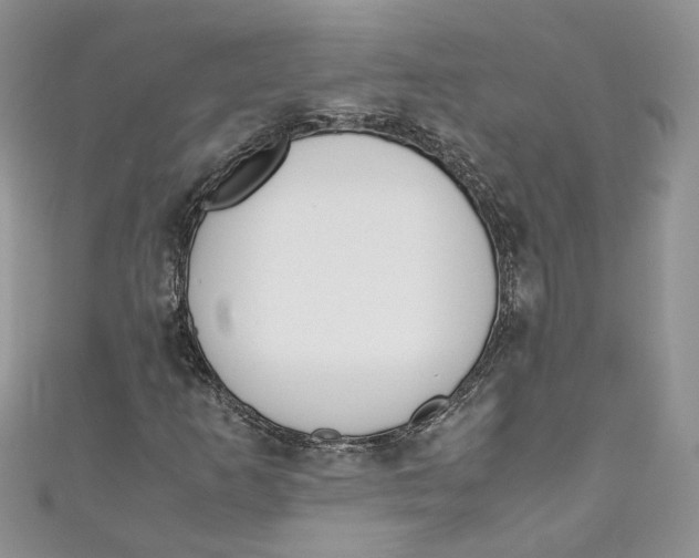 X0000110911253200907091429