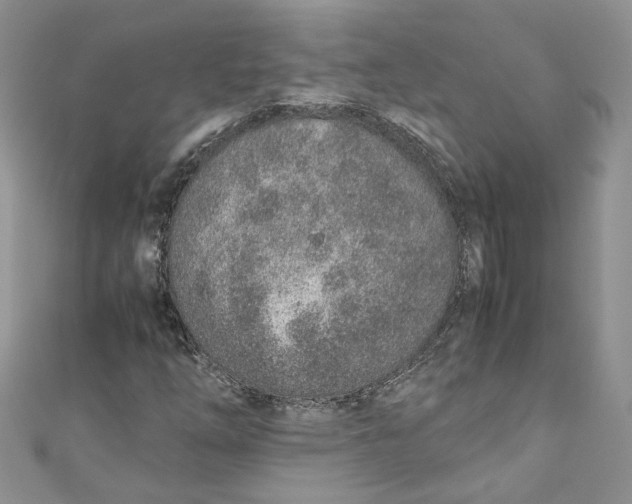 X0000110911254200907091429