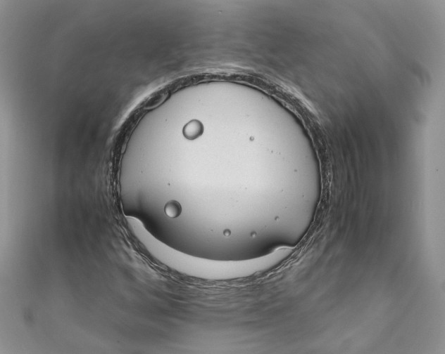 X0000110911256200907091429