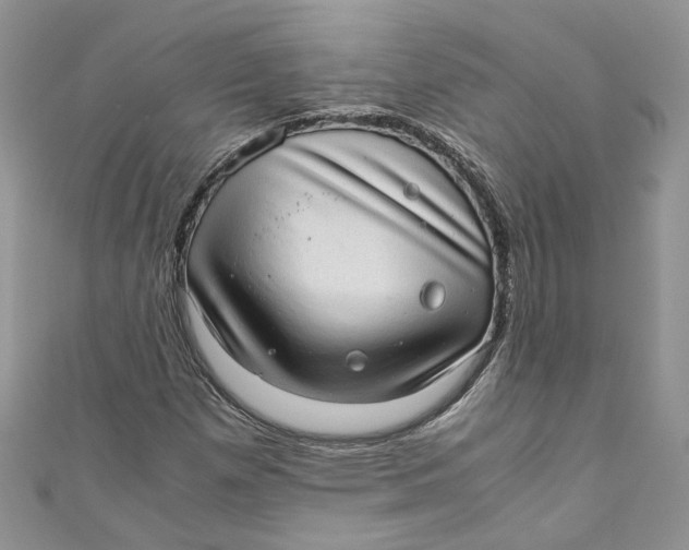 X0000110911257200907091429