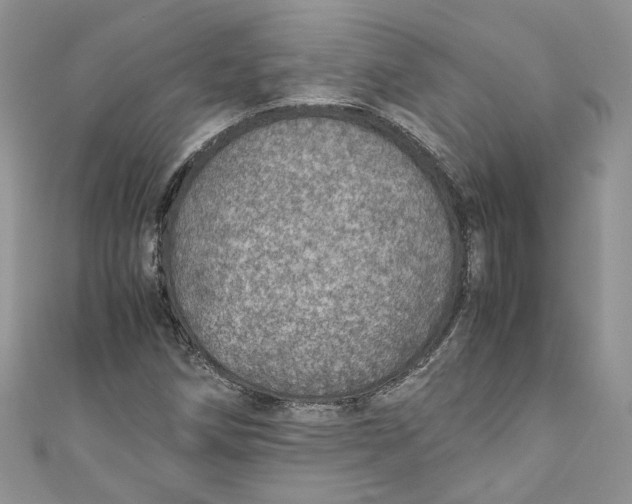 X0000110911258200907091429