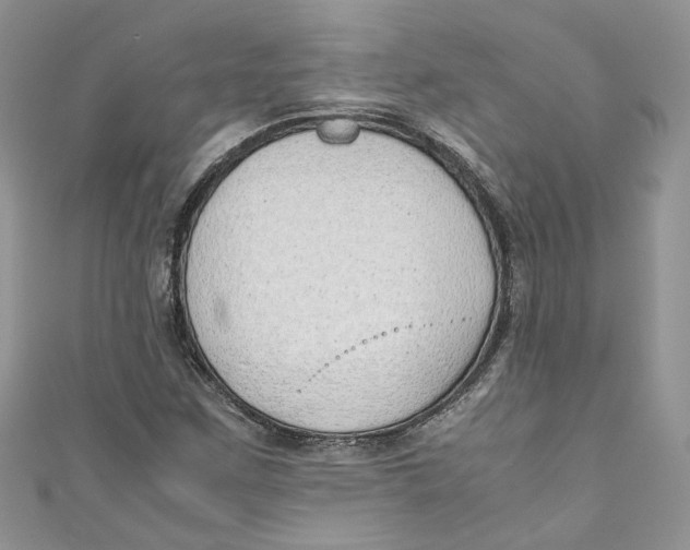 X0000110911259200907091429