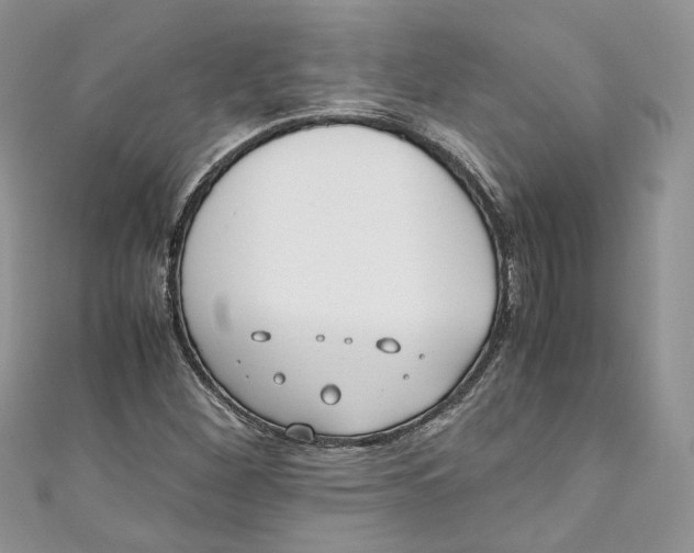 X0000110911260200907091429