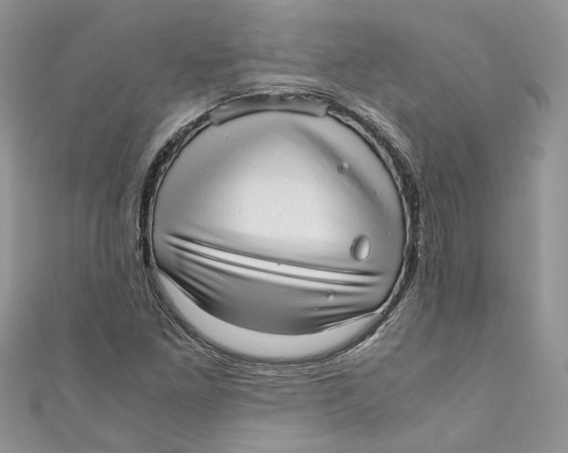 X0000110911261200907091429