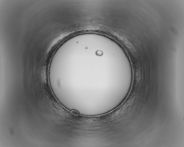 X0000110911262200907091429