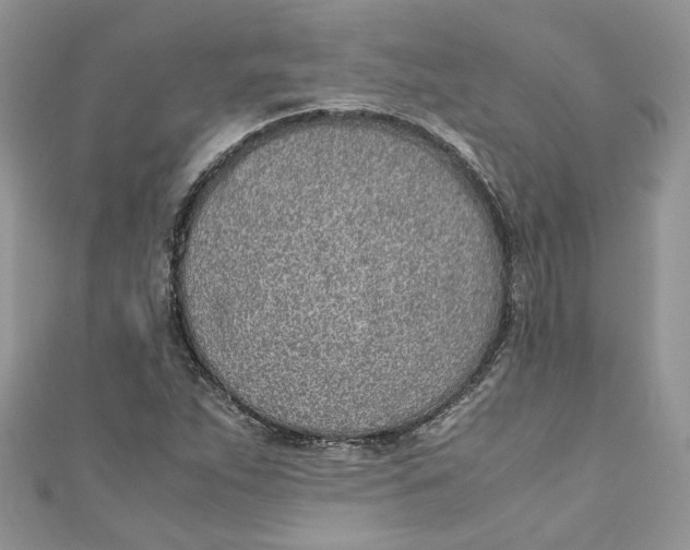 X0000110911263200907091429