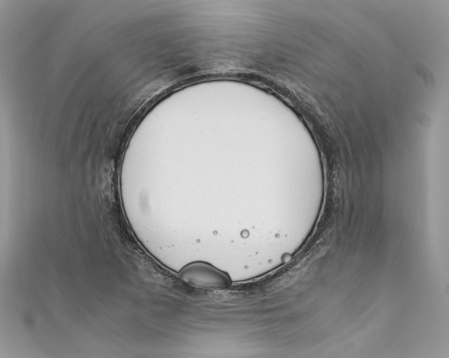 X0000110911265200907091429