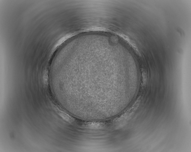 X0000110911266200907091429