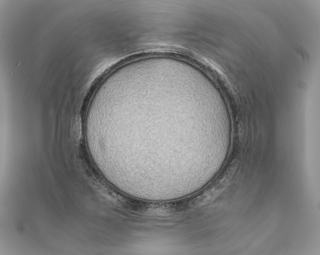 X0000110911267200907091429