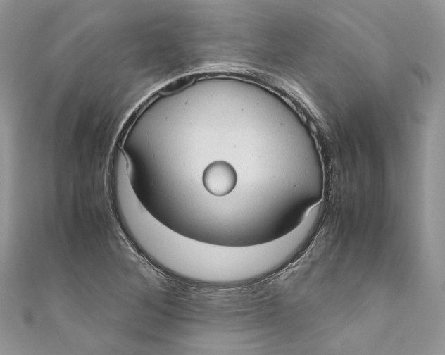 X0000110911268200907091429