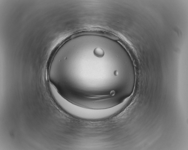 X0000110911269200907091429