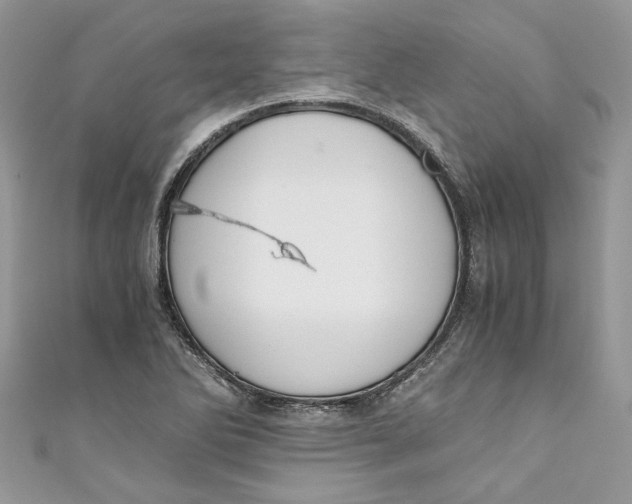 X0000110911270200907091429