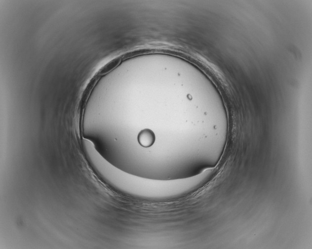 X0000110911272200907091429