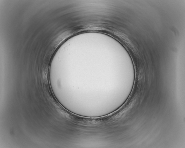 X0000110911273200907091429