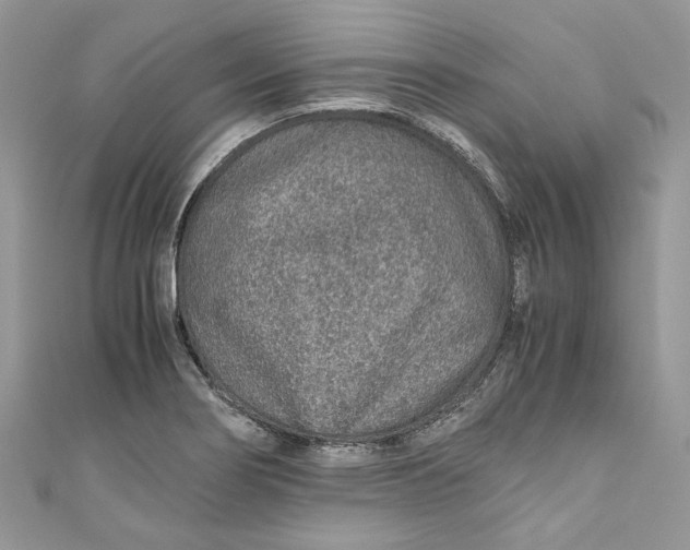 X0000110911274200907091429