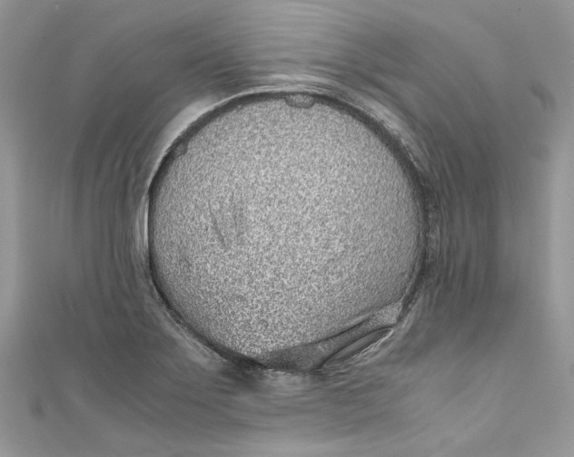 X0000110911275200907091429