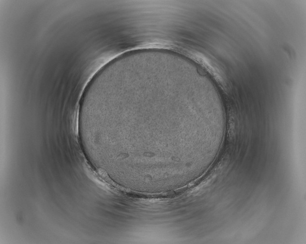 X0000110911276200907091429