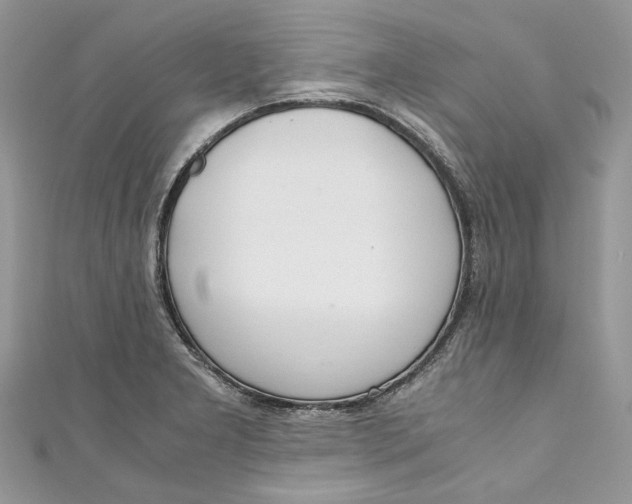 X0000110911277200907091429