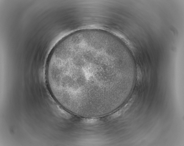 X0000110911278200907091429