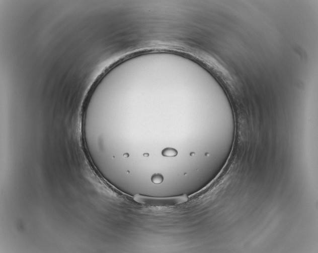 X0000110911280200907091429