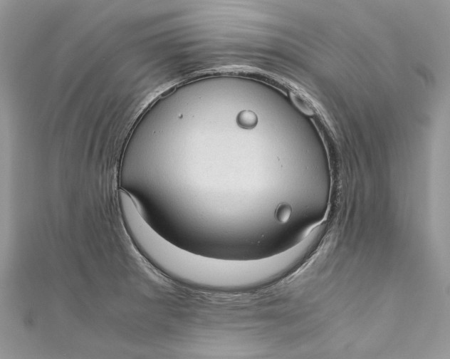 X0000110911281200907091429