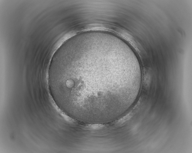 X0000110911282200907091429