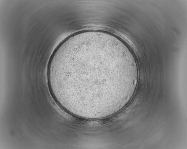 X0000110911283200907091429