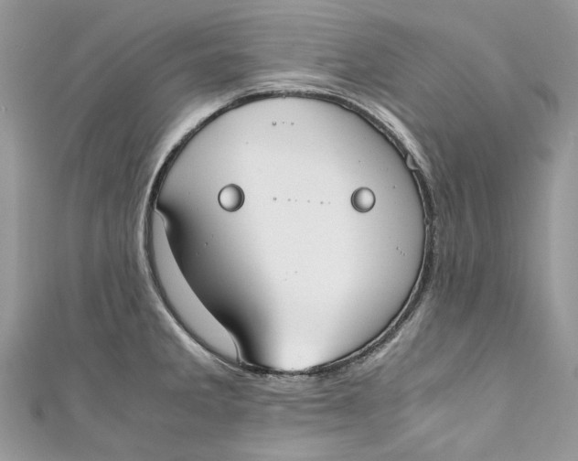 X0000110911285200907091429