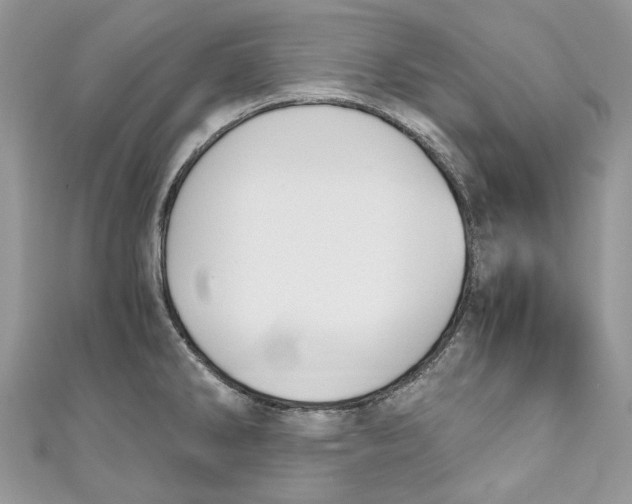 X0000110911286200907091429