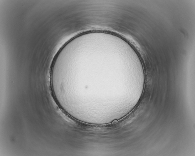 X0000110911287200907091429