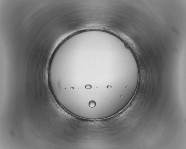 X0000110911288200907091429