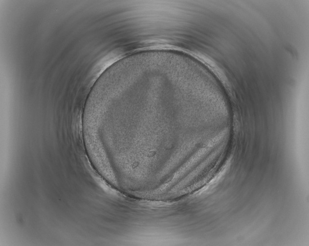 X0000110911289200907091429