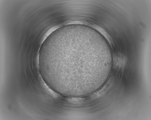 X0000110911290200907091429