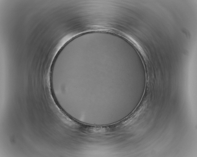 X0000110911291200907091429