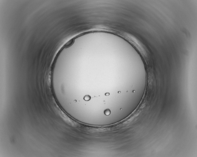 X0000110911292200907091429