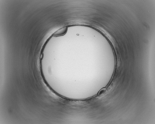 X0000110911293200907091429