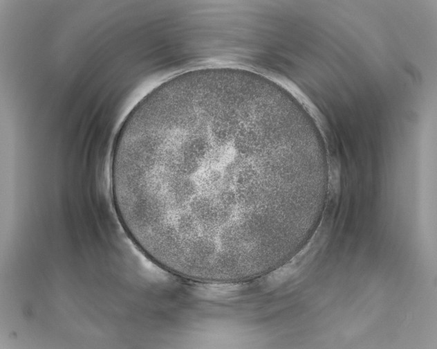 X0000110911294200907091429