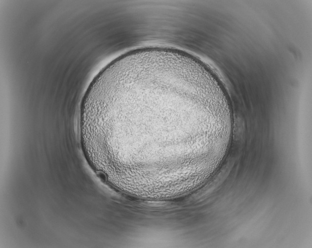 X0000110911295200907091429