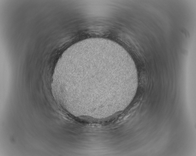 X0000110911297200907091428