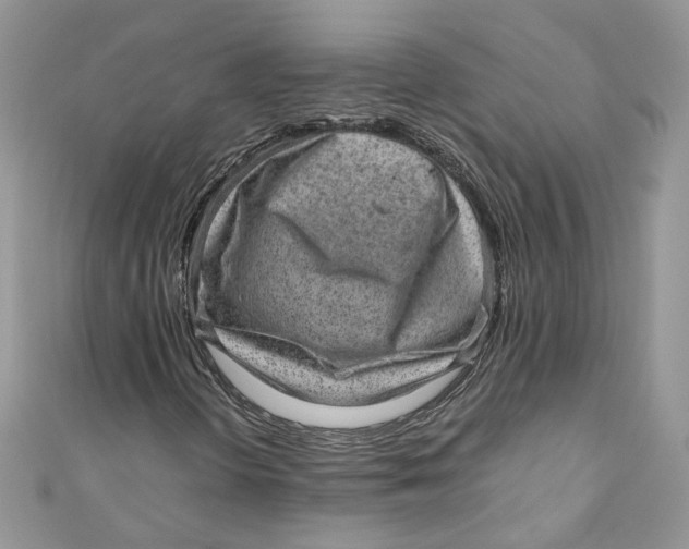 X0000110911298200907091428